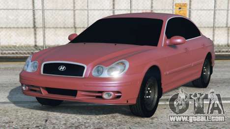 Hyundai Sonata Fuzzy Wuzzy Brown